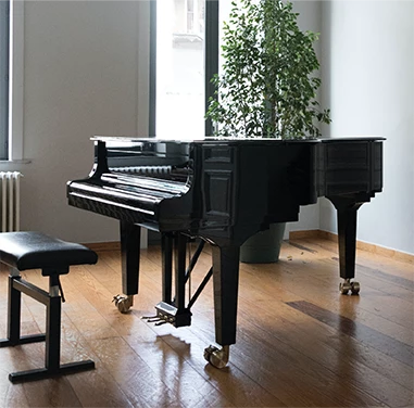 Une photo d'un piano noir dans un appartement. Le plancher est en bois clair, les murs sont blancs. Il y a deux fenêtres en arrière plan et une plante verte derrière le piano, dont le clavier est fermé.